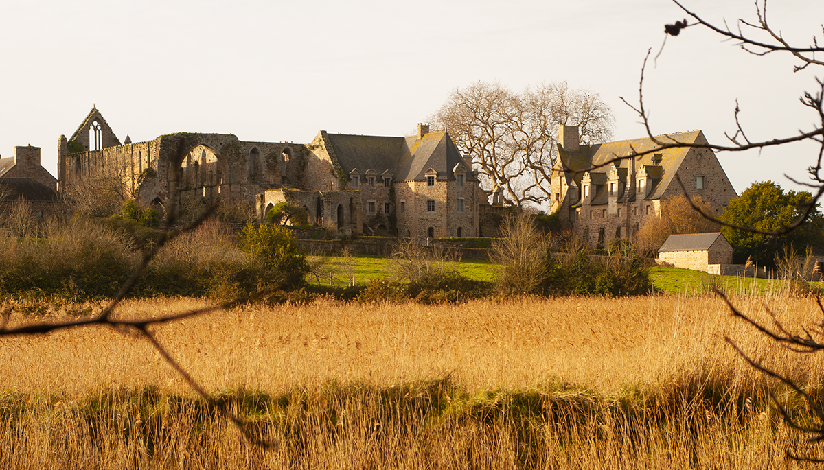 abbaye de Beauport, photo agence grain de sell paimpol